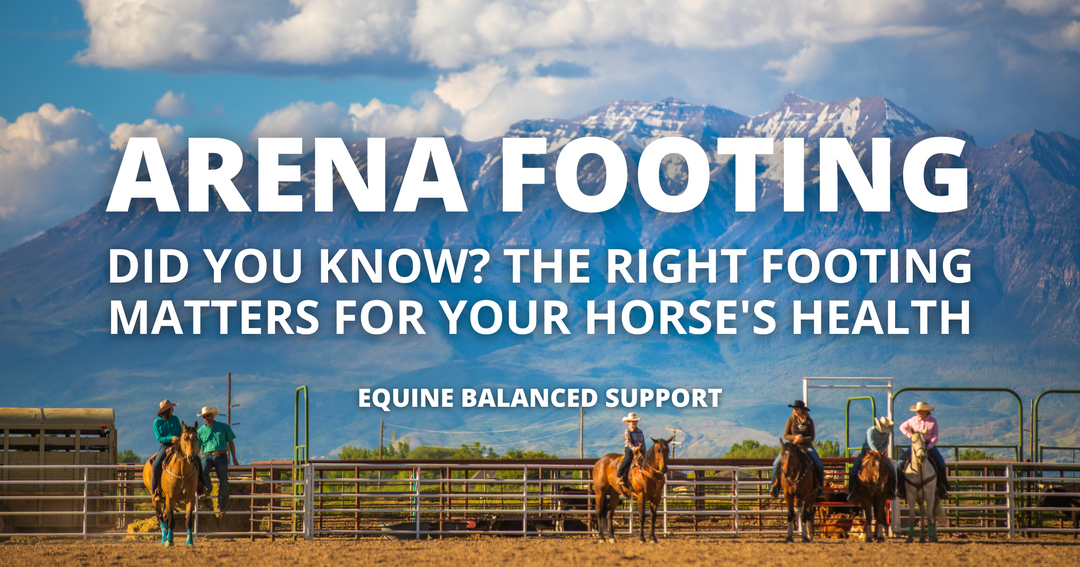 Understanding the Impact of Different Footing Types on Equine Joint and Soft Tissue Health