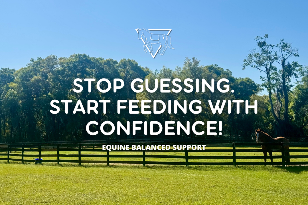 Free Horse Nutrition Calculator: Balance Your Horse’s Diet in Minutes