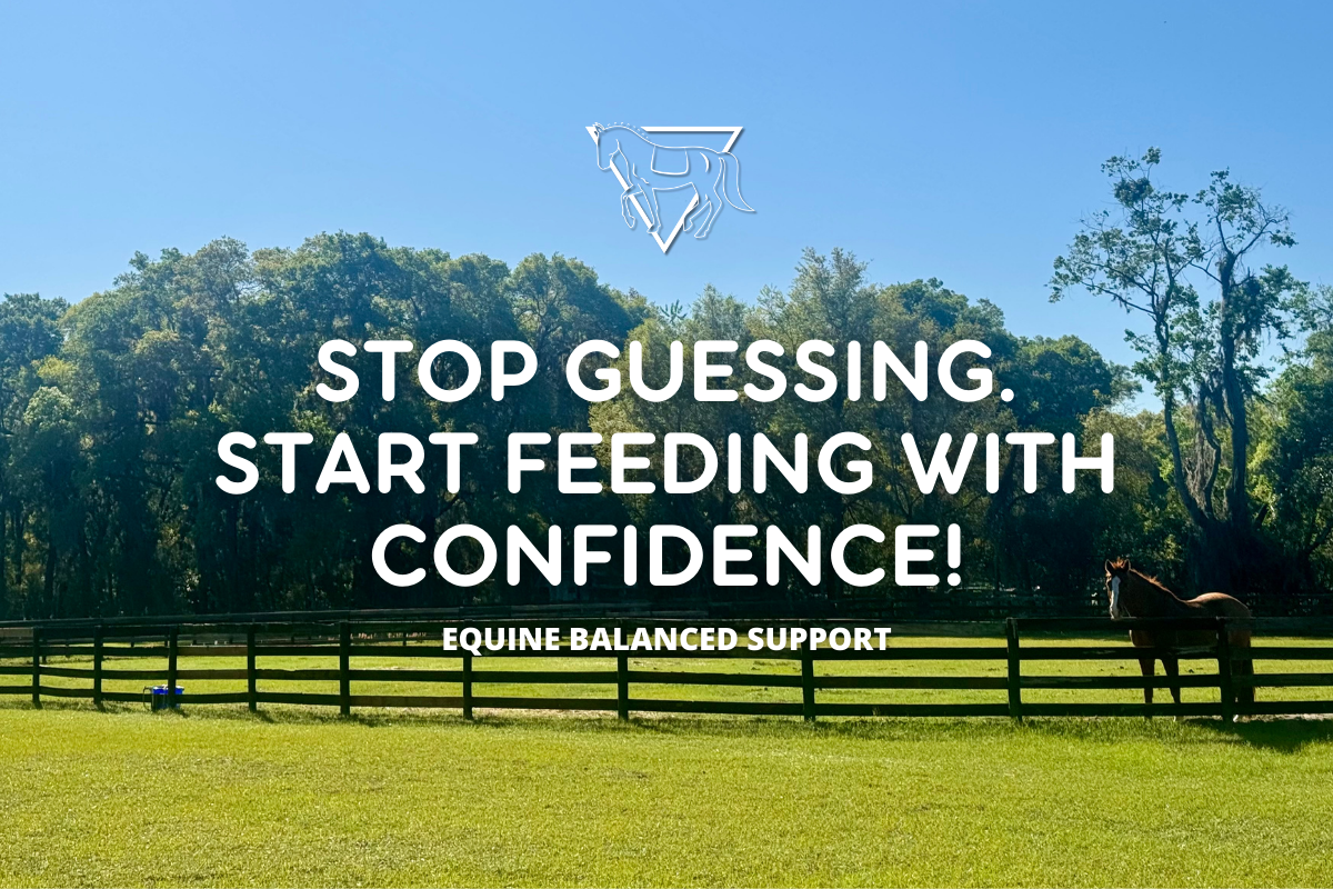 Balanced Diets for Horses with Science and FeedXL