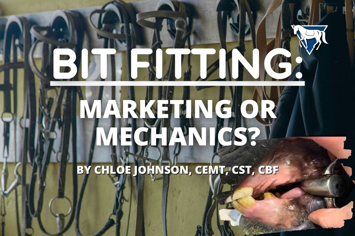 Bit Fitting for Horses: How to Avoid Marketing Hype and Choose Comfort Over Gimmicks