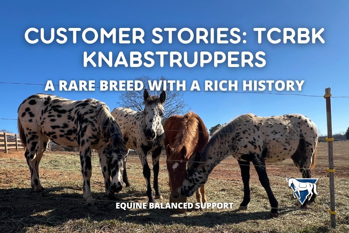 TCRBK Knabstruppers Customer Success Story