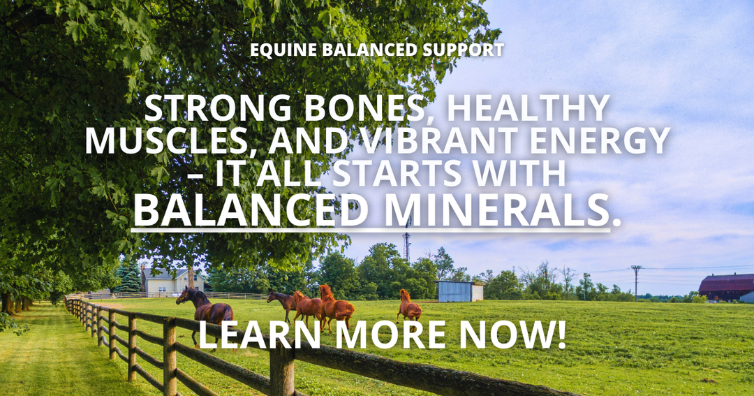 Unlocking Optimal Equine Health: The Importance of Key Mineral Ratios