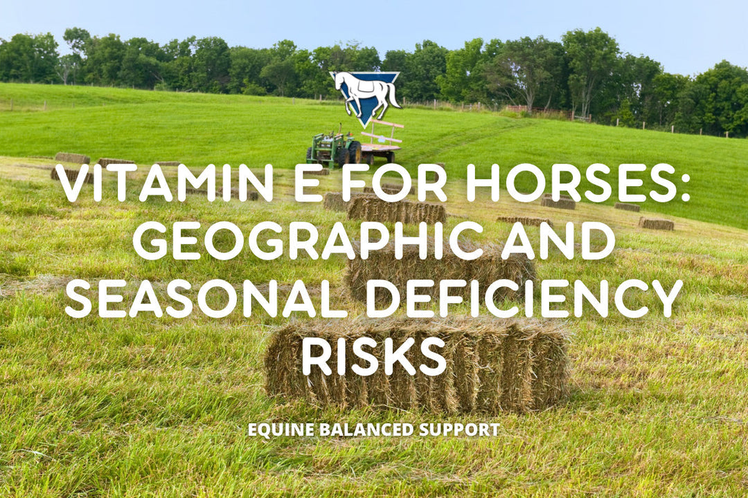 Vitamin E for Horses: Geographic and Seasonal Deficiency Risks