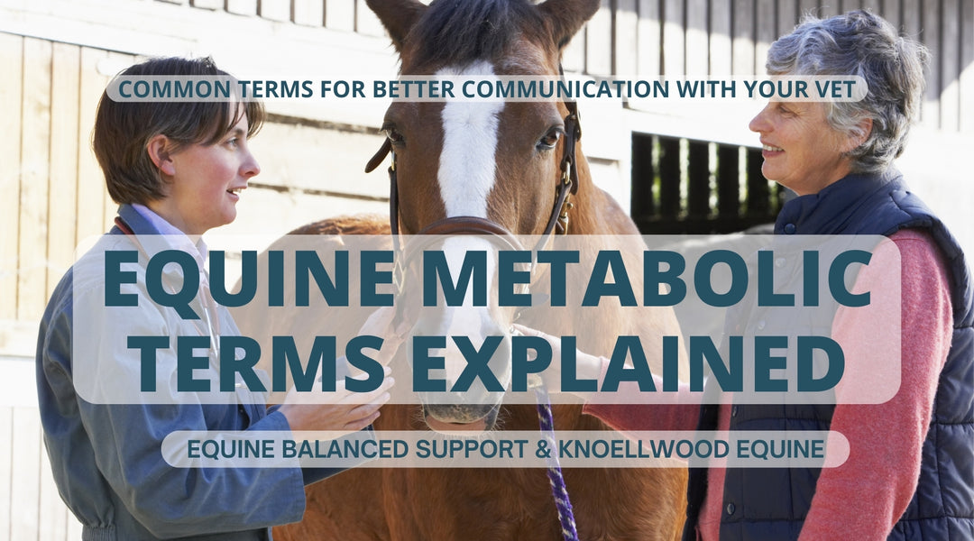 Equine Metabolic Terms Explained