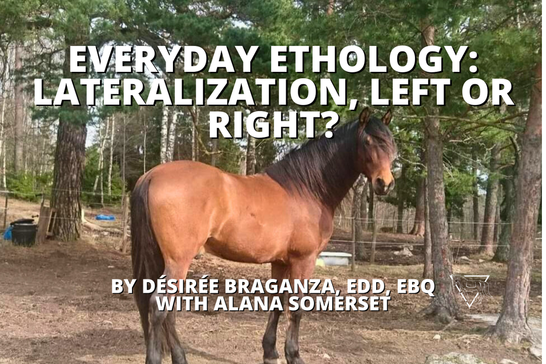 Everyday Ethology: Lateralization, Left or Right?