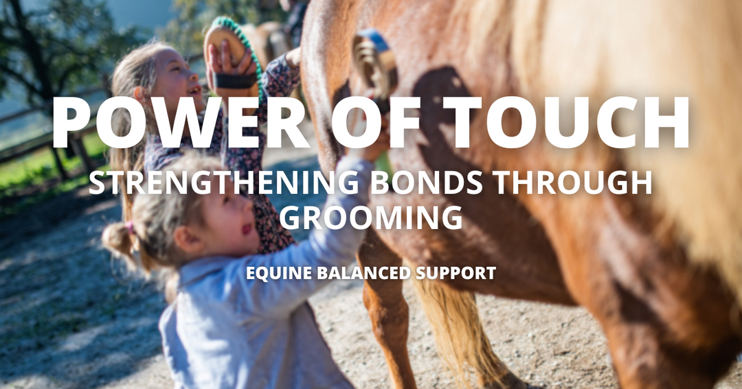 The Power of Touch: Strengthening Bonds Through Grooming