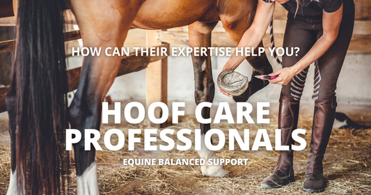 Expert farrier caring for horse's hooves, highlighting essential equine hoof health management for robust wellness.