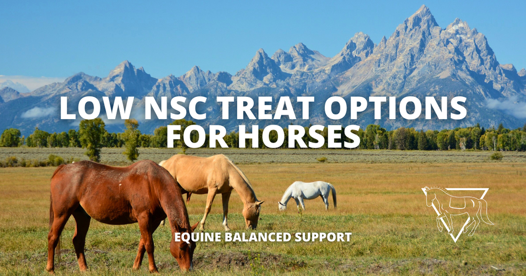 Low-NSC Horse Treats: Safe, Healthy Options for Happy Horses