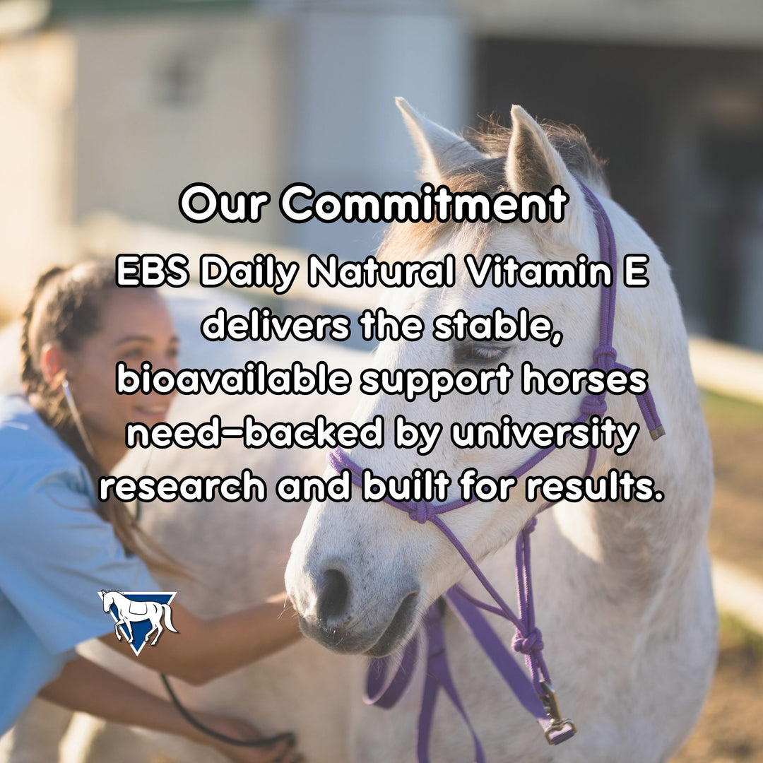 Person petting a horse with text about EBS Daily Natural Vitamin E and university research.