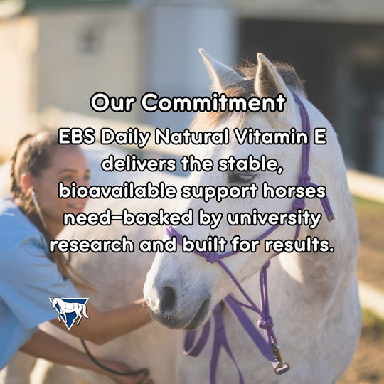 Person petting a horse with text about EBS Daily Natural Vitamin E and university research.