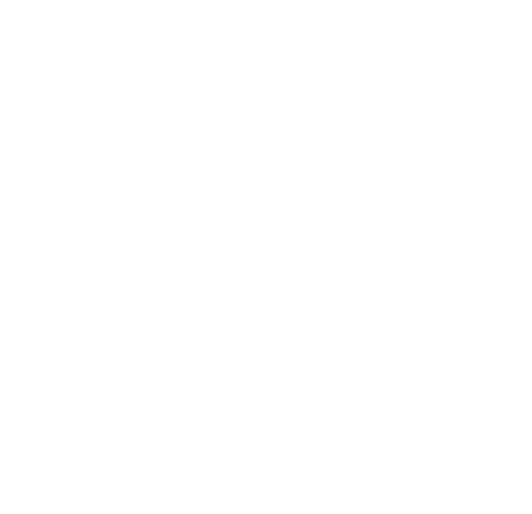 Equine Balanced Support