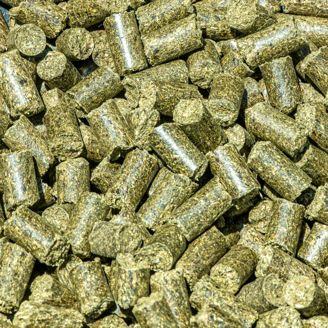 Grazers Nutri-Treats - Forage-Based, Healthy Horse Treats