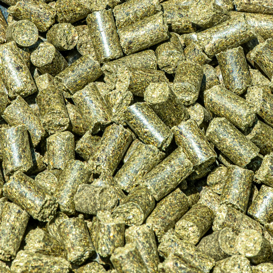 Grazers Nutri-Treats - Forage-Based, Healthy Horse Treats