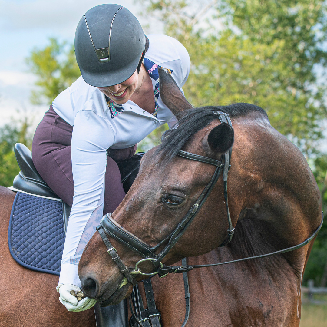 Grazers Nutri-Treats - Forage-Based, Healthy Horse Treats