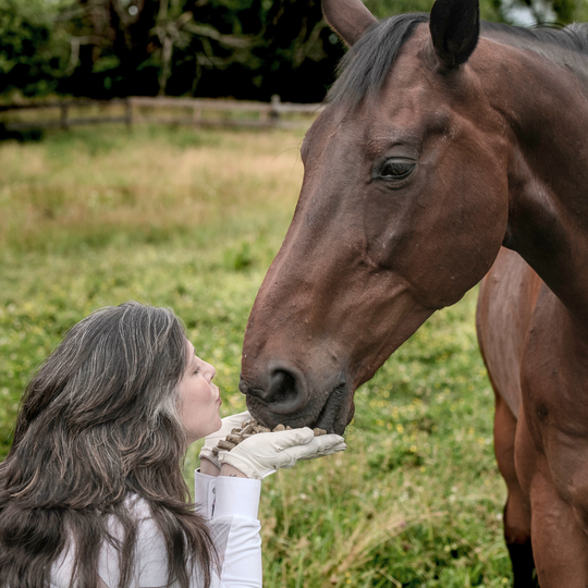 Grazers Nutri-Treats - Forage-Based, Healthy Horse Treats