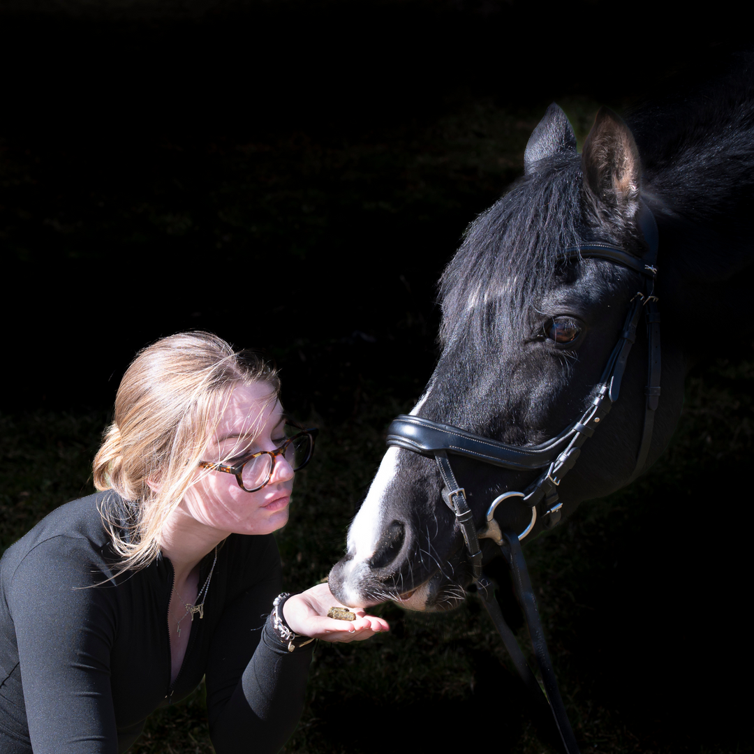 Grazers Nutri-Treats - Forage-Based, Healthy Horse Treats