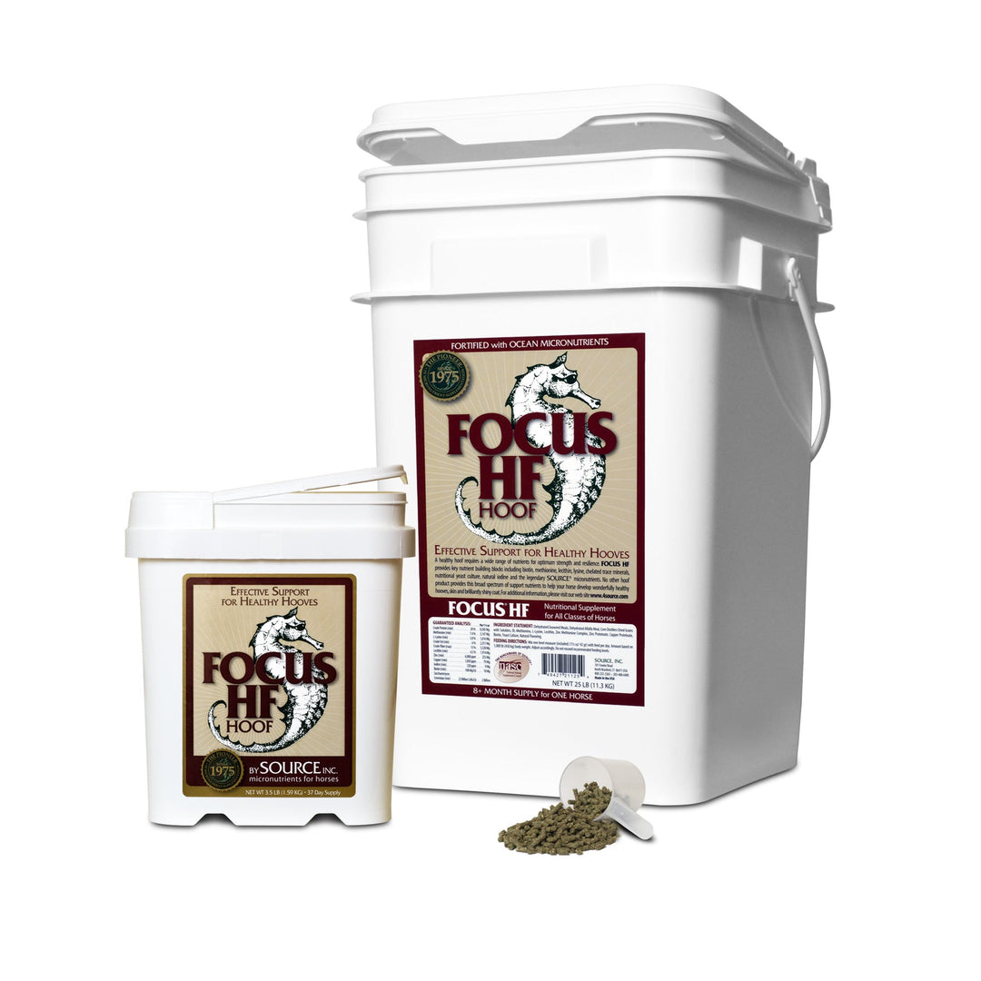 SOURCE Focus HF (Hoof) - Kelp Horse Supplement (3.5 lbs and 25 lbs, pellet). Daily, Hoof Health, Pellet, Enhance Hoof Health, Improve Your Horse's Hoof Health