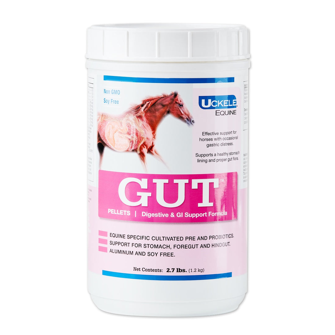 UCKELE GUT (Powder, Paste, Pellet) – Digestive & Gastric Support for Equine Gut Health