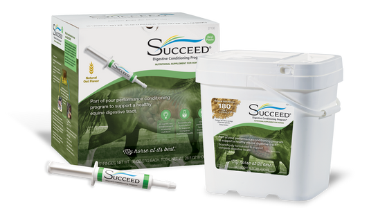 Box of SUCCEED Digestive Conditioning Program (DCP)