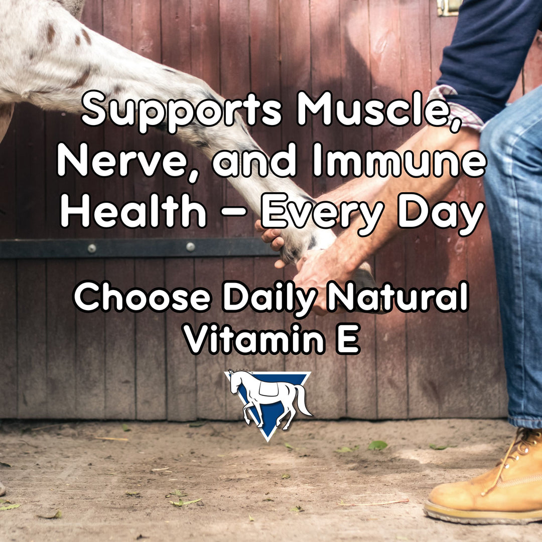 Person petting a horse with text about daily natural vitamin E benefits.