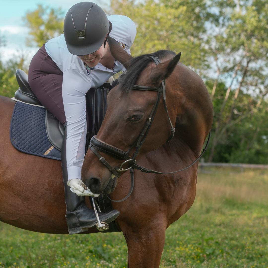 Grazers Nutri-Treats - Forage-Based, Healthy Horse Treats