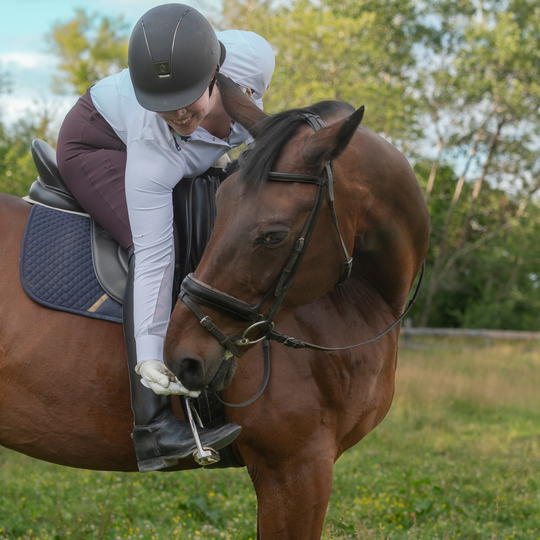 Grazers Nutri-Treats - Forage-Based, Healthy Horse Treats
