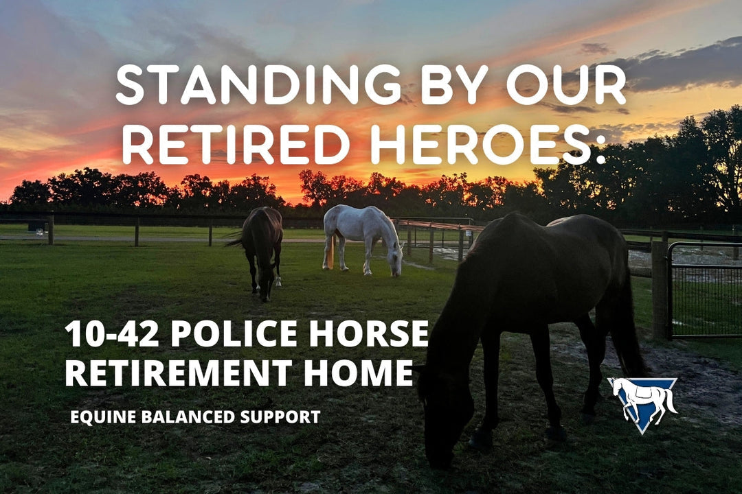 Standing By Our Retired Heroes: 10-42 Police Horse Retirement Home