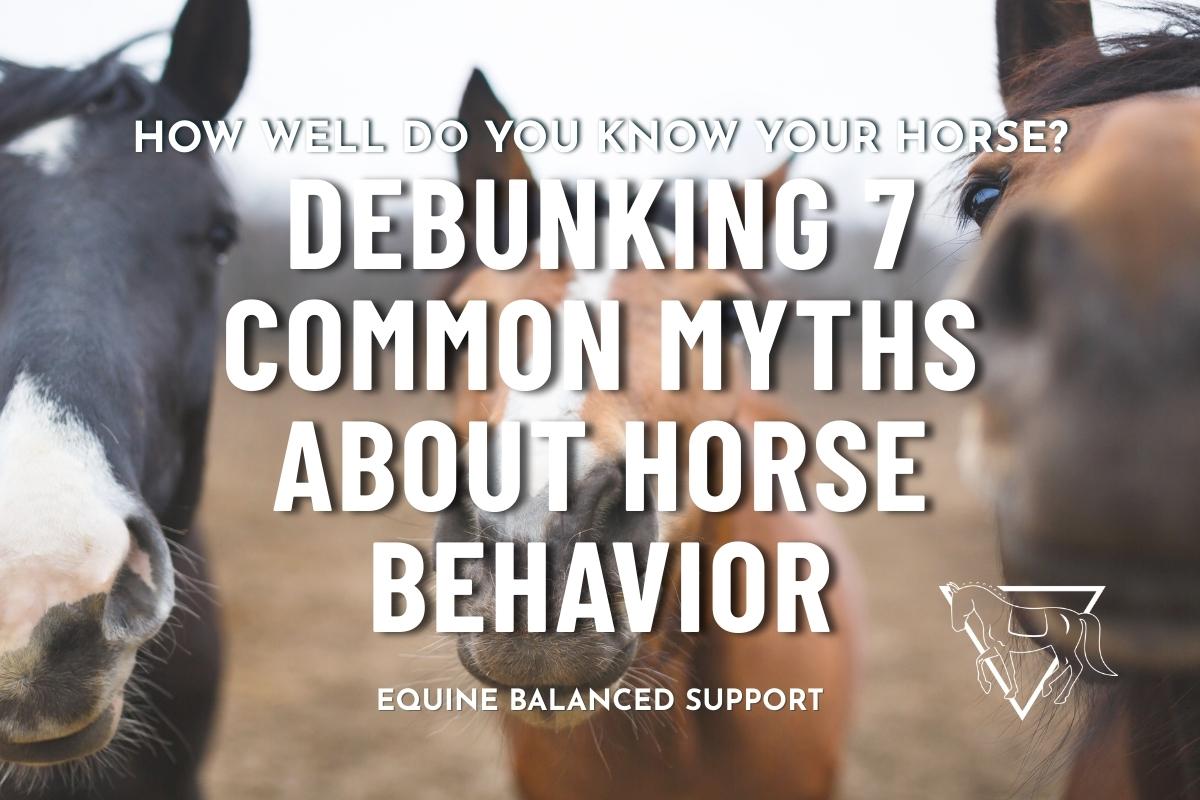 Debunking 7 Common Myths About Horse Behavior
