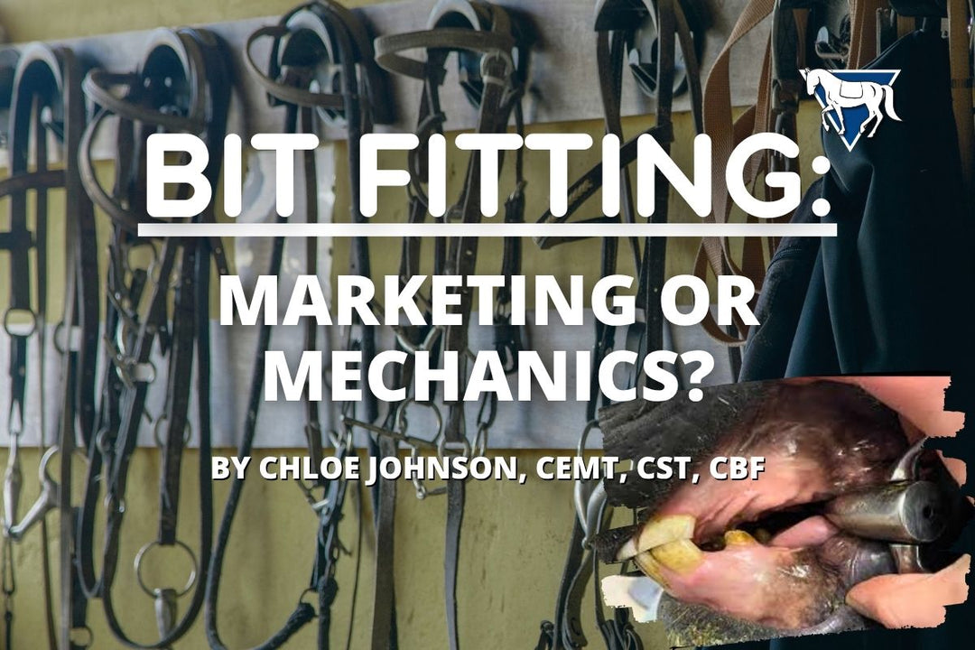 Bit Fitting for Horses: How to Avoid Marketing Hype and Choose Comfort Over Gimmicks