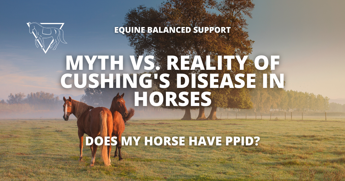 'Myth vs. Reality of Cushing's Disease in Horses' with the subtitle 'Does My Horse Have PPID?' featuring an image of a horse, highlighting common myths and realities about equine Cushing's Disease (PPID)