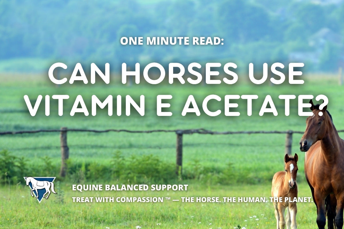 One Minute Read: Can Horses Use Vitamin E Acetate?