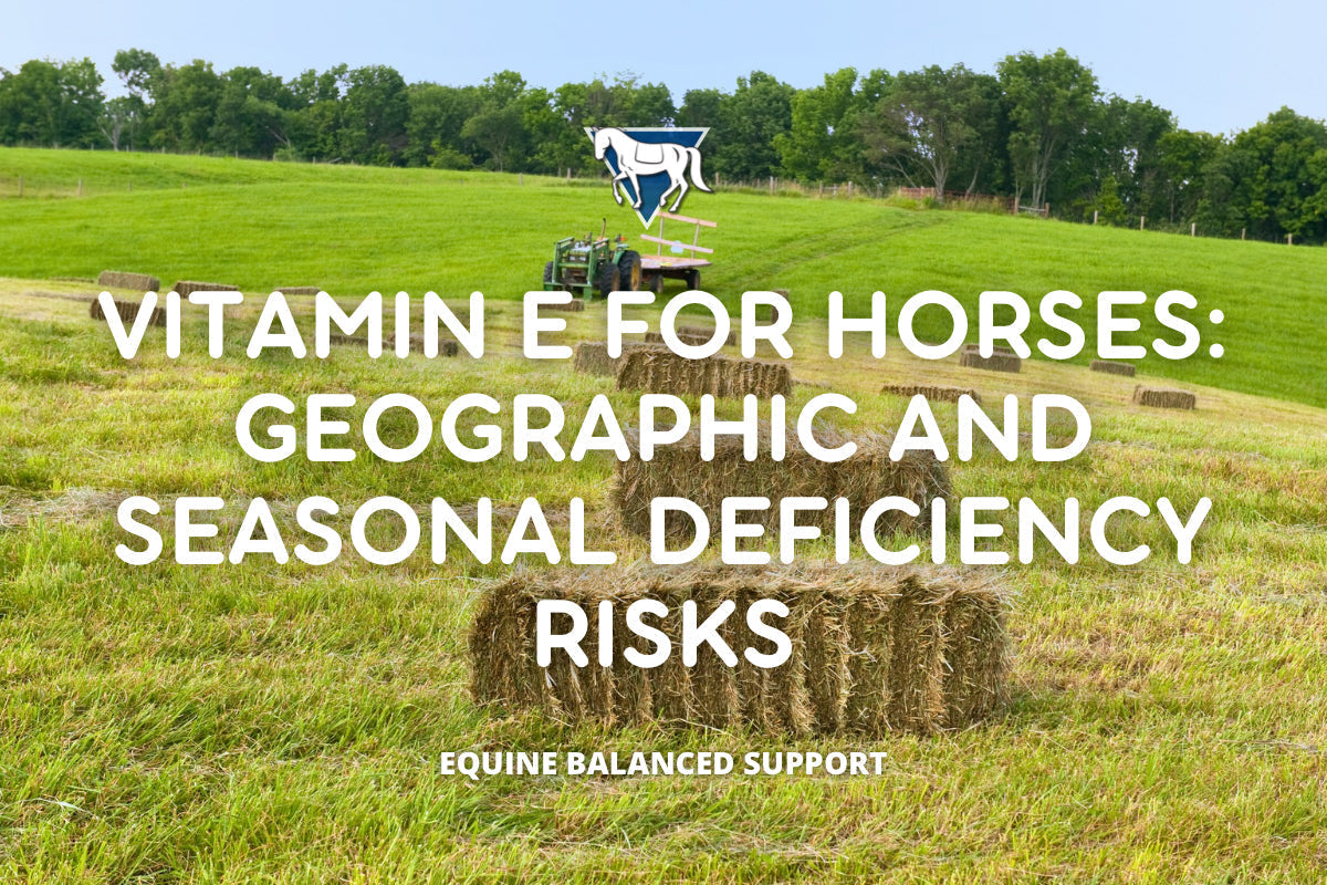 Vitamin E for Horses Geographic and Seasonal Deficiency Risk