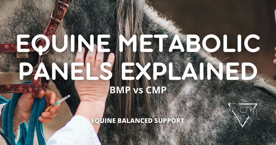 Understanding the Equine Metabolic Panel: BMP and CMP Explained ...