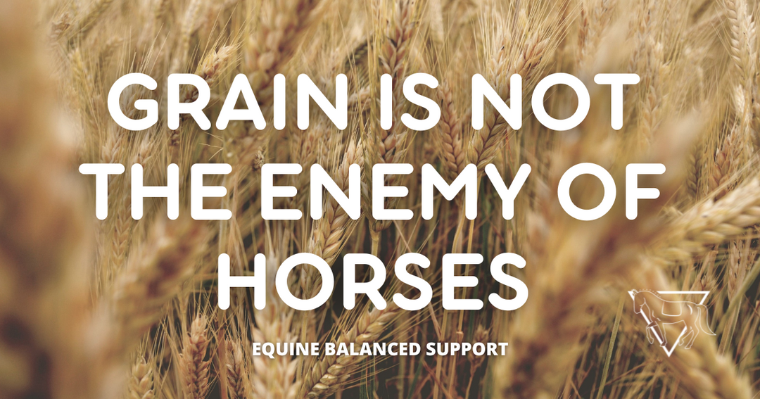 Grain in a Forage-First Diet: Myths, Facts & Smart Feeding