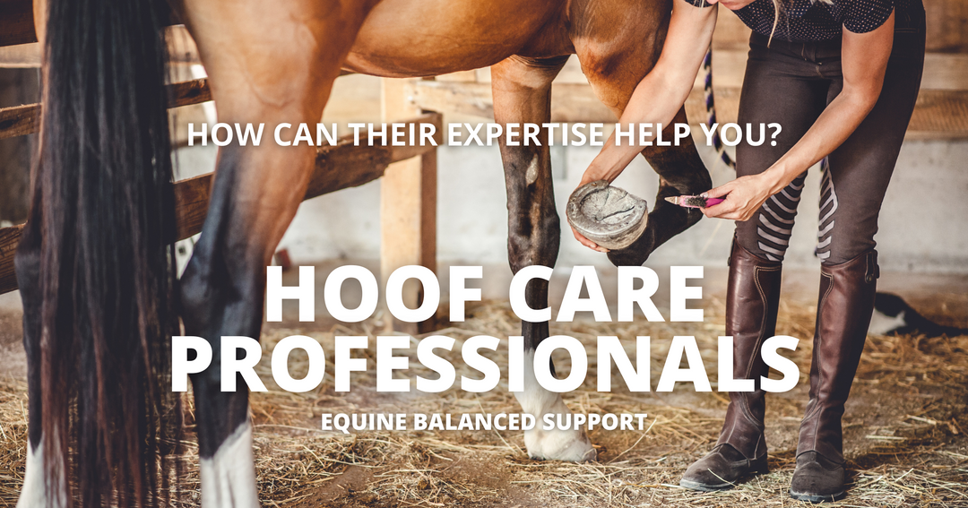 Beyond Hooves: Revealing the Essential Role of a Hoof Care Professional in Equine Management