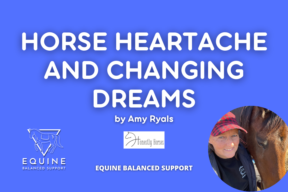 The heartbreak of a horse passing and changing your horse dreams