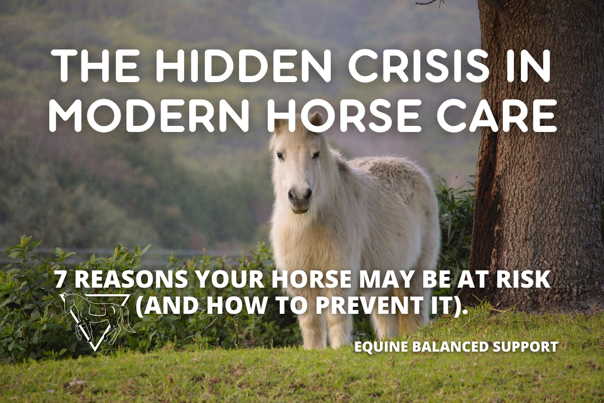 Why More Horses Have Metabolic Problems Today (And What You Can Do About It)