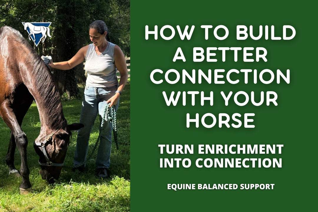 How to Build a Better Connection with Your Horse