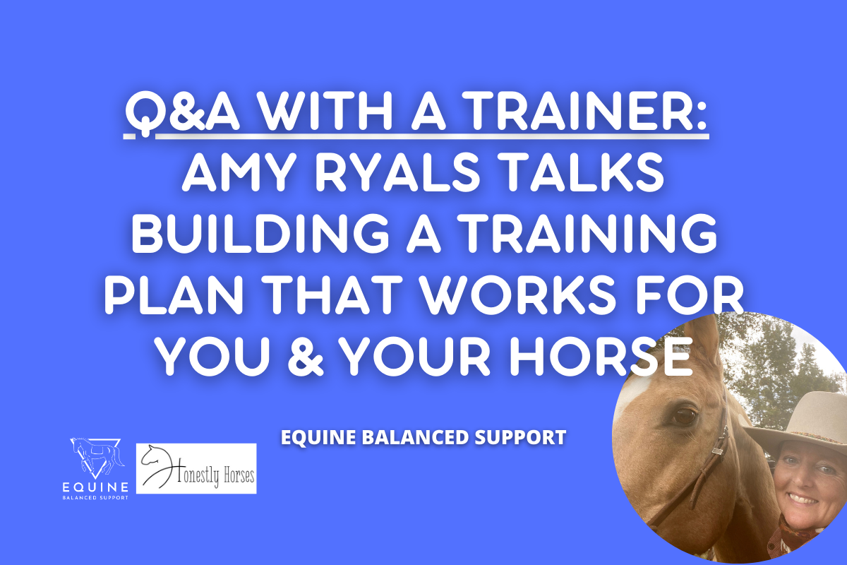 Building a training program for your horse