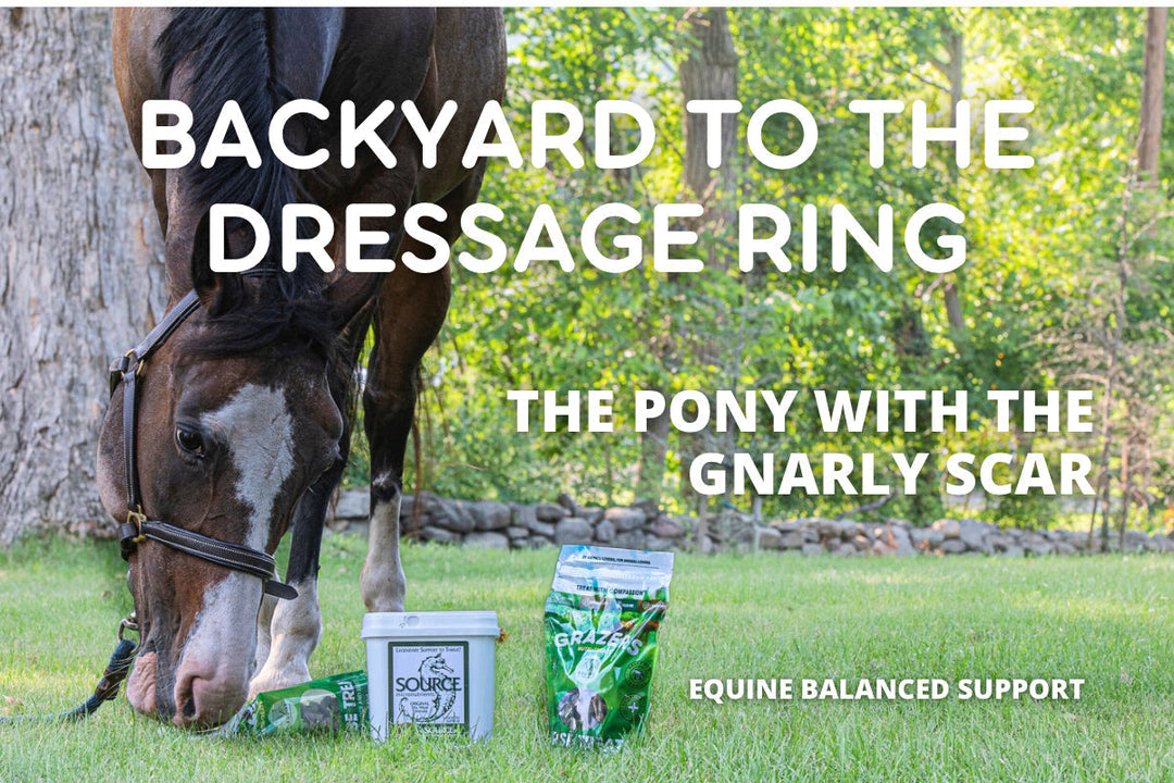 From Backyard to Dressage Ring: Margaret & Poppet’s Journey
