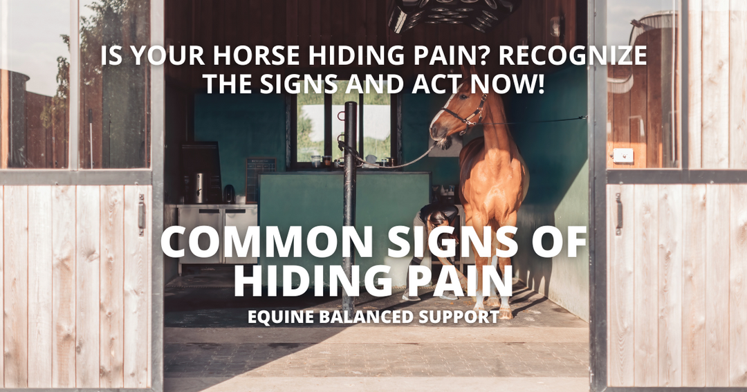 The Silent Sufferers: Recognizing Pain in Horses Before It's Too Late
