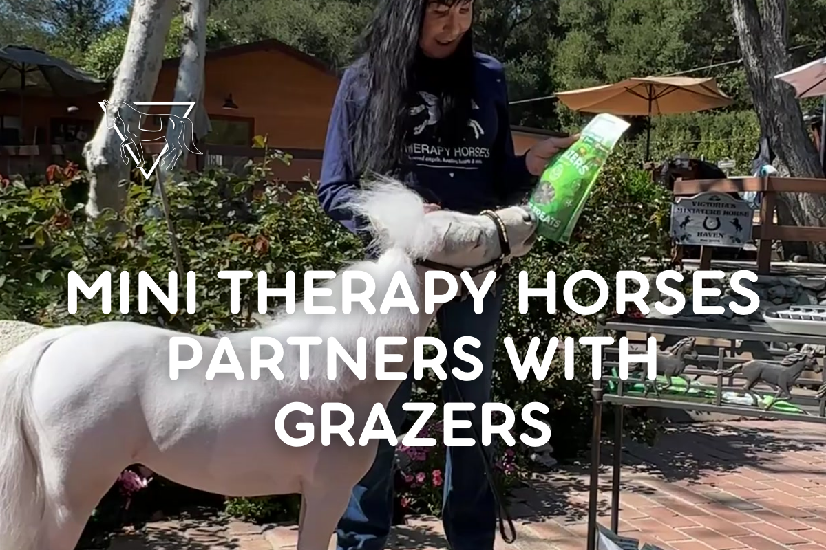 Mini Therapy Horses partners with Equine Balanced Supports and chooses Grazers as their official treat