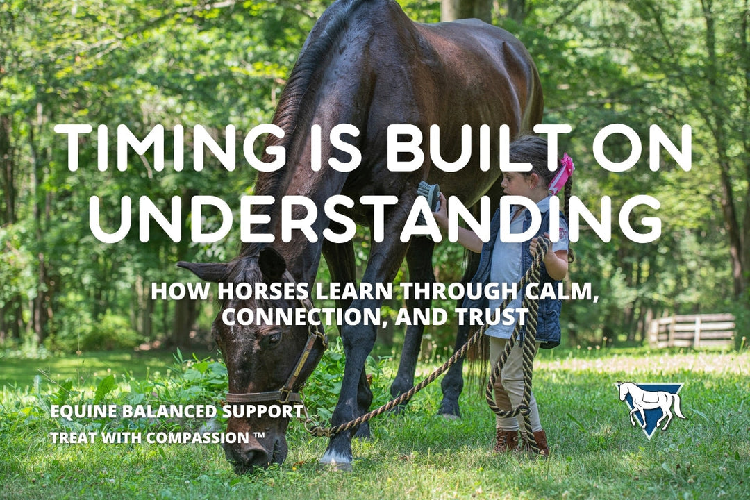 How Horses Learn: The Science of Timing & Trust