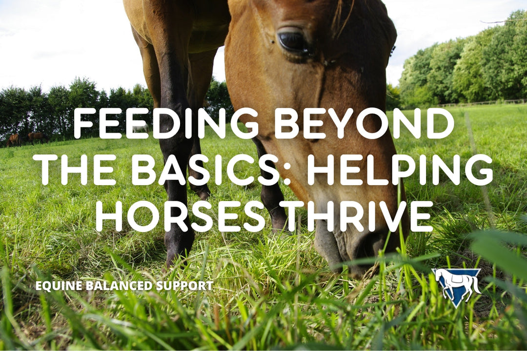 Feeding Beyond the Basics: Helping Horses Thrive