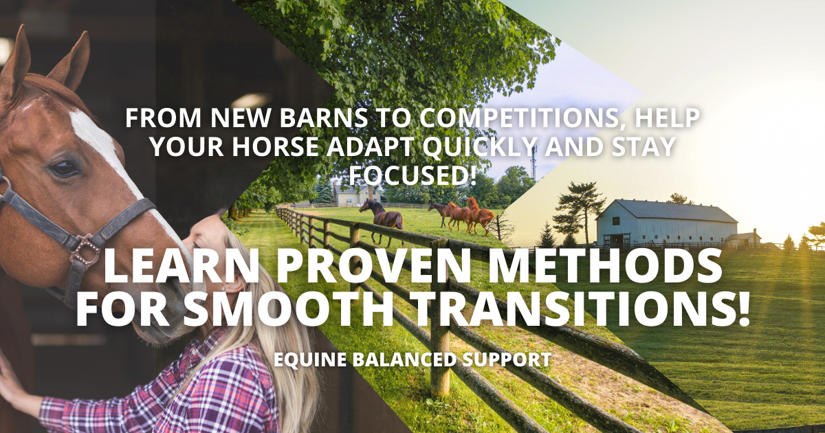 Caretaker helping horse adjust to new barn and pasture, emphasizing stress-free horse relocation and competition preparation. Proven methods for equine adaptation, maintaining focus and reducing anxiety in new environments.