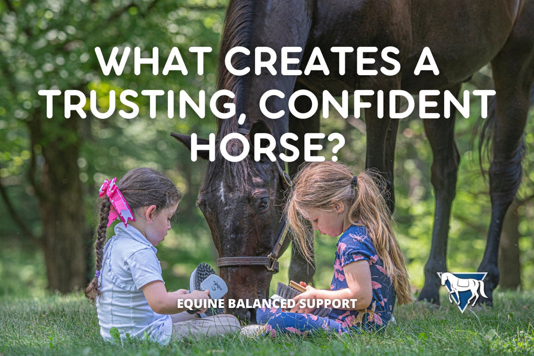 Understanding Dopamine and Calm Training in Horses