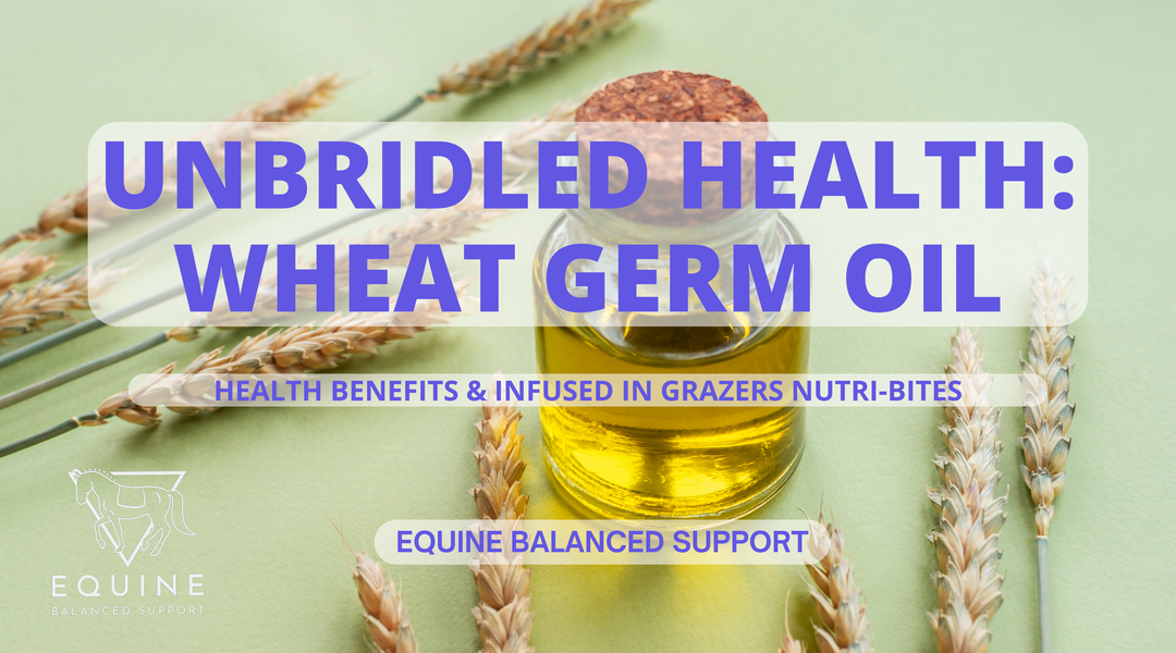 Unbridled Health: Wheat Germ Oil Benefit for Horses