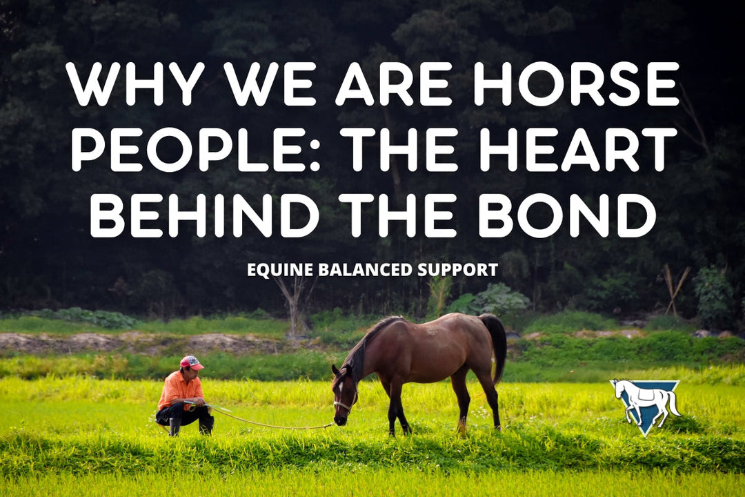 Why We Are Horse People: If You Know, You Know