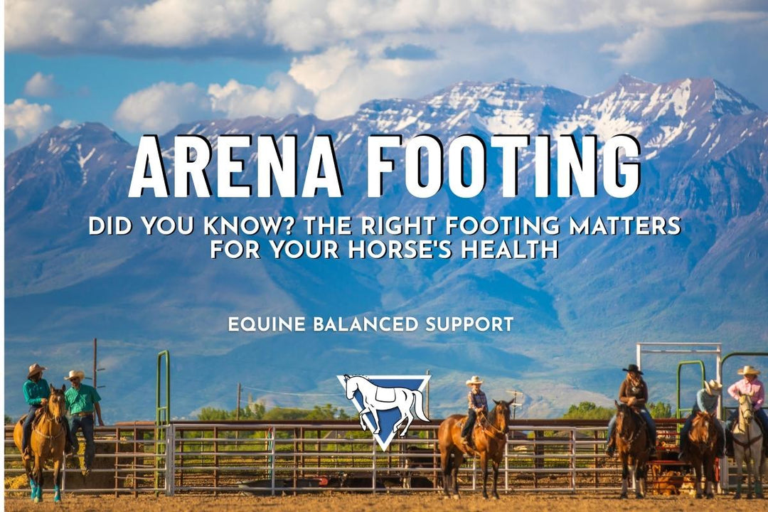 Understanding the Impact of Different Footing Types on Equine Joint and Soft Tissue Health