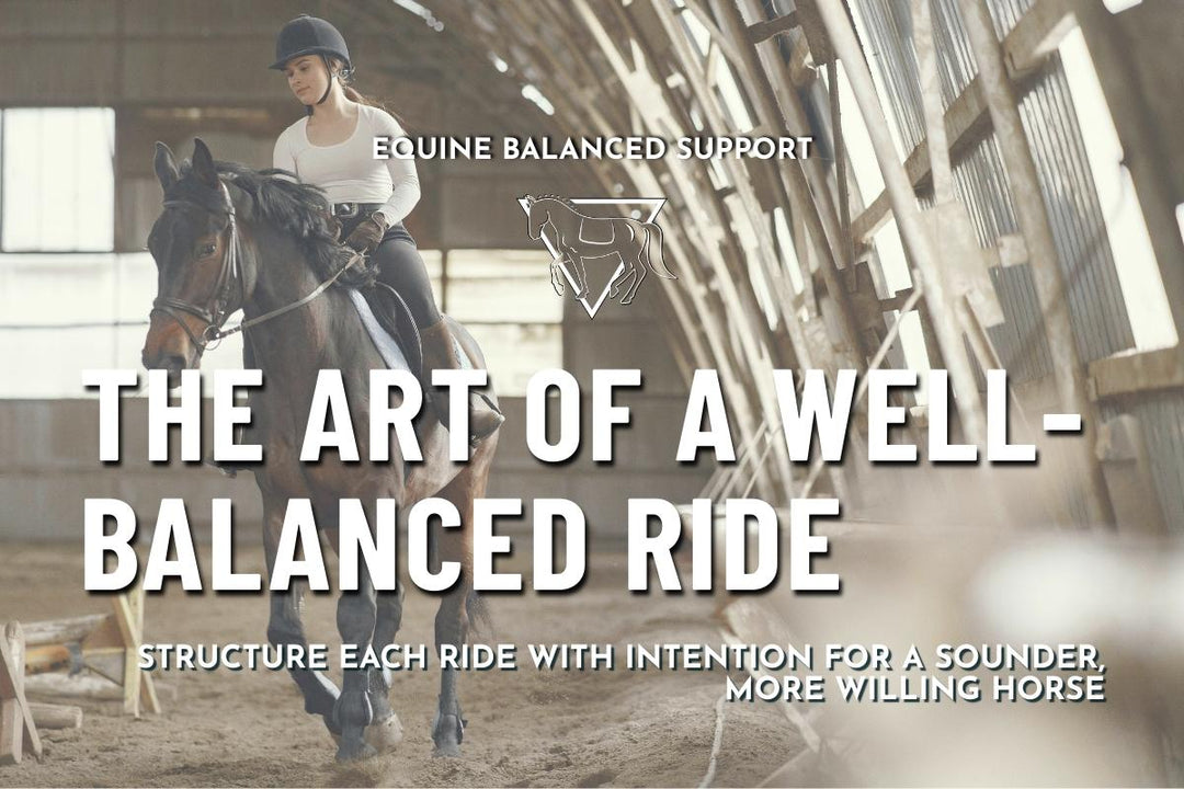 The Art of a Well-Balanced Ride: Why Variation and Breaks Matter